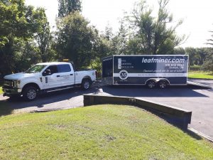 Total Gardening Services Ltd photo 9